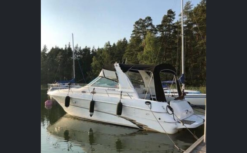 Sea Ray 310 Sundancer-kuva-19